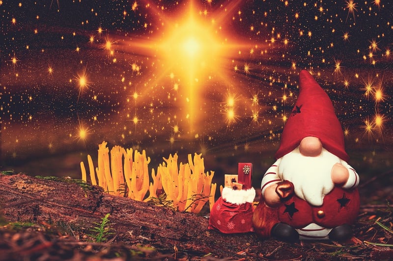 Starry Celebrations